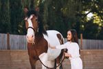 Horse Breeding Overview: Traditions, Innovations, and Industry Insights