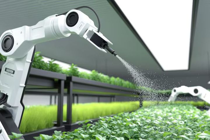 Smart Agriculture Sensors Basics: Precision Farming Technology Explained