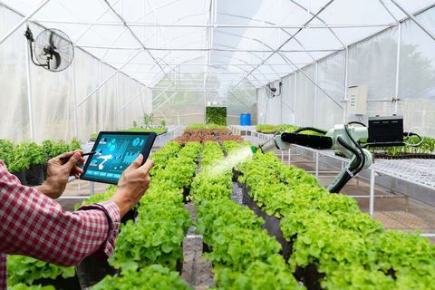 New Agricultural Technology: Benefits, Uses and Trends
