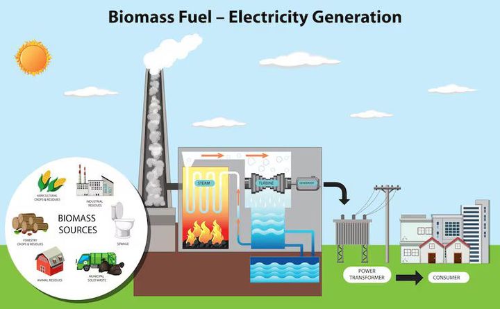 Bioenergy Systems Overview: Sustainable Energy Sources and Innovations