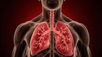 Pulmonary Hypertension: Understanding Its Impact and Management