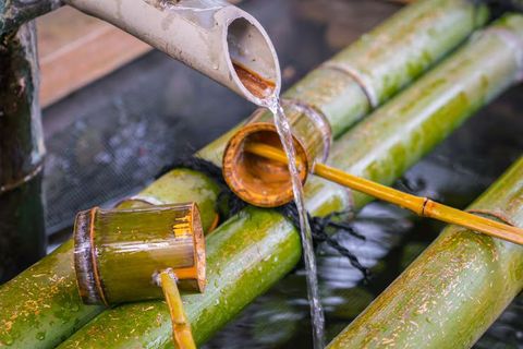 Sugarcane Crushers: A Complete Guide to Better Juice Extraction