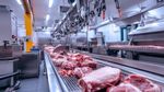 Meat Processing Equipment: Complete Guide to Modern Food Processing Systems