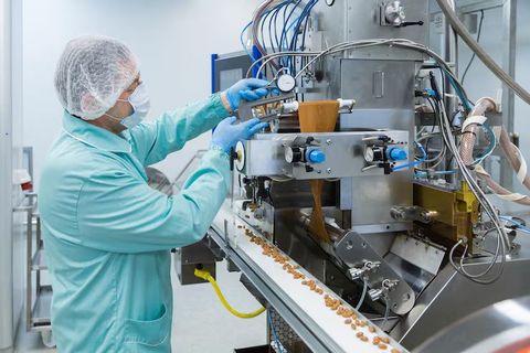 A Beginner’s Guide to Food Processing Equipment