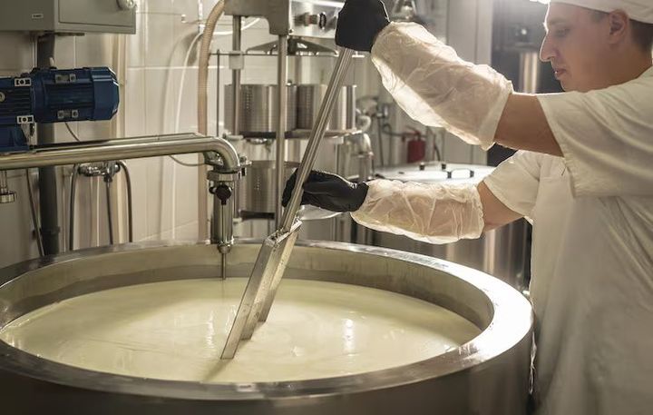 Cheese Making Equipment Guide: Explore Types, Components, Processes, Applications, and Planning Factors