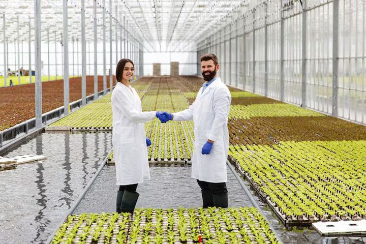 Vertical Farming: A Complete Guide to Modern Indoor Agriculture