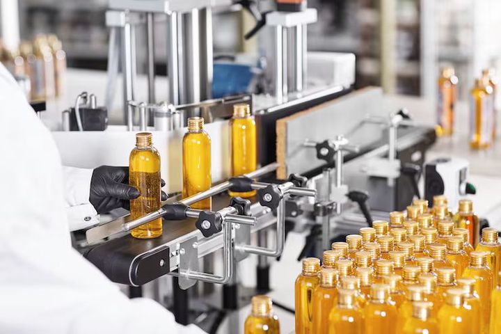 Oil Processing Machinery Guide: Essential Basics and Key Insights to Understand