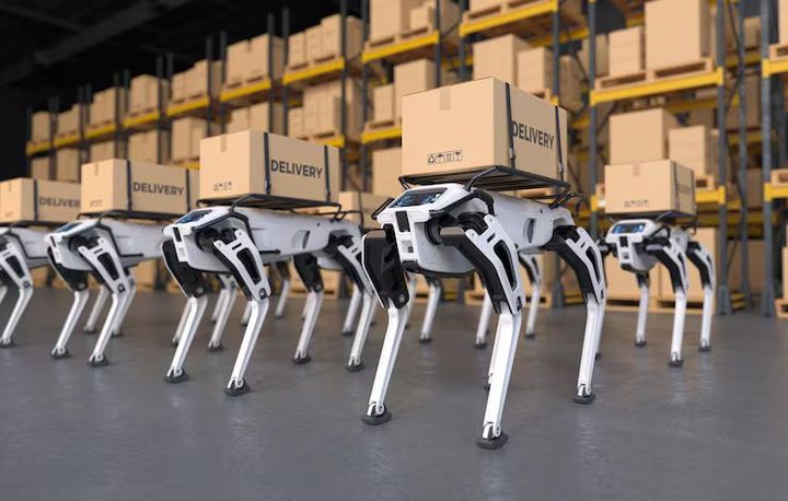 Robotic Sorting Systems Overview – Technology, Components, and Working Process