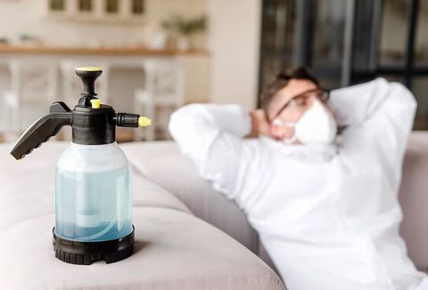 Levoit Humidifier Overview: Uses, Maintenance, and Key Benefits Explained